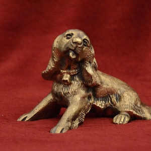 Bronze Cocker Spaniel
