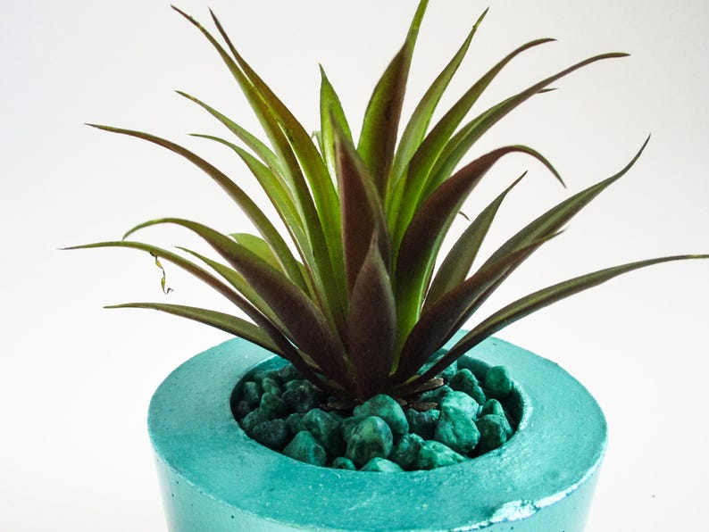Cement decor Turquoise home decor Turquoise decor Aquamarine decor Turquoise planter Cement planter Cement home decor