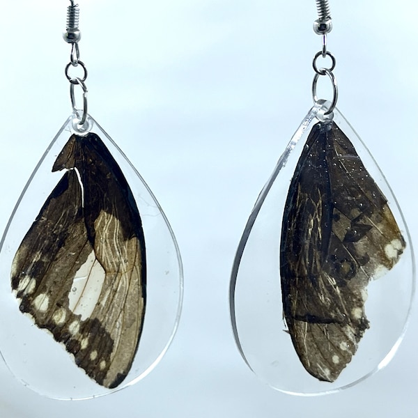 Butterfly Wing Earrings, Butterfly Wings in Resin Accessories, Resin Wing Earrings, Real Butterfly Wing Jewelry, Unique Gift for Her