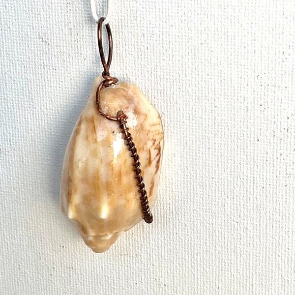 Wire Wrapped Orange Shell Pendant, Simple Wire Wrapped Seashell, Ocean Inspired Jewelry, Gift for Beach Lover, Authentic Shells