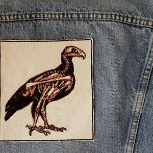 Pode incluir: Um patch quadrado com uma ilustração detalhada de um esqueleto de pássaro em tons de castanho e bege. O patch é costurado em uma jaqueta jeans azul clara, contrastando a obra de arte com o tecido.