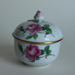 Meissen rose rose