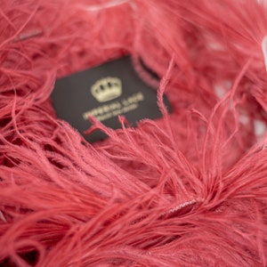 Brick red Ostrich Feathers, Feather trim, Ostrich Feather Fringe, Red color feather, One yard, Craft feathers, Lace Spalvas 89