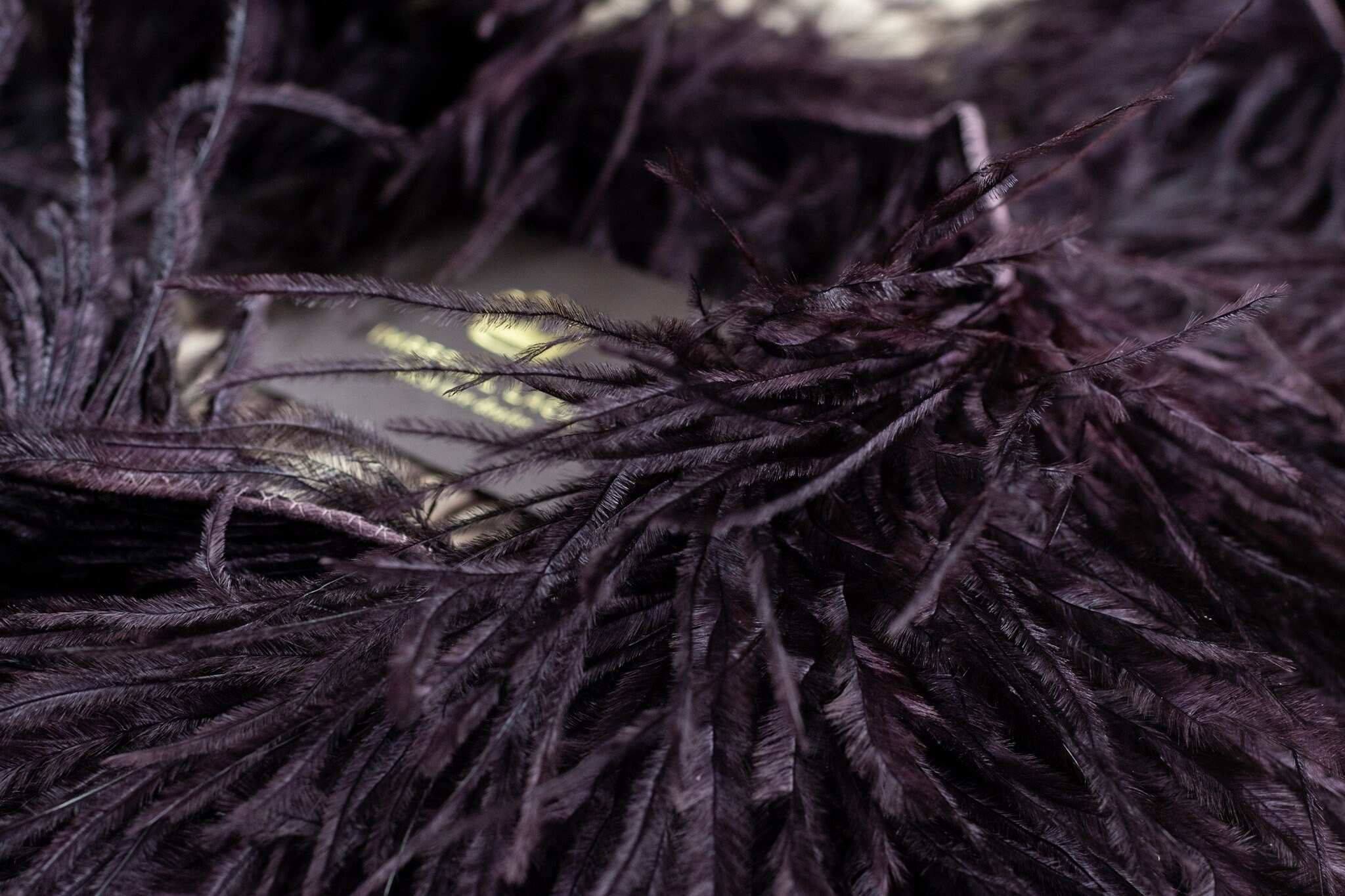 Brown Ostrich Feather Feather Fringe Feather trim Natural | Etsy