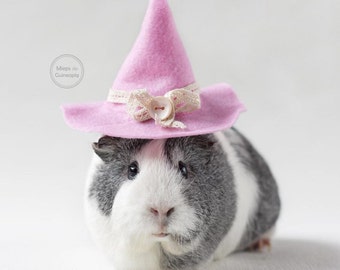 Guinea pig hat - guinea pig clothes - guinea pig gifts