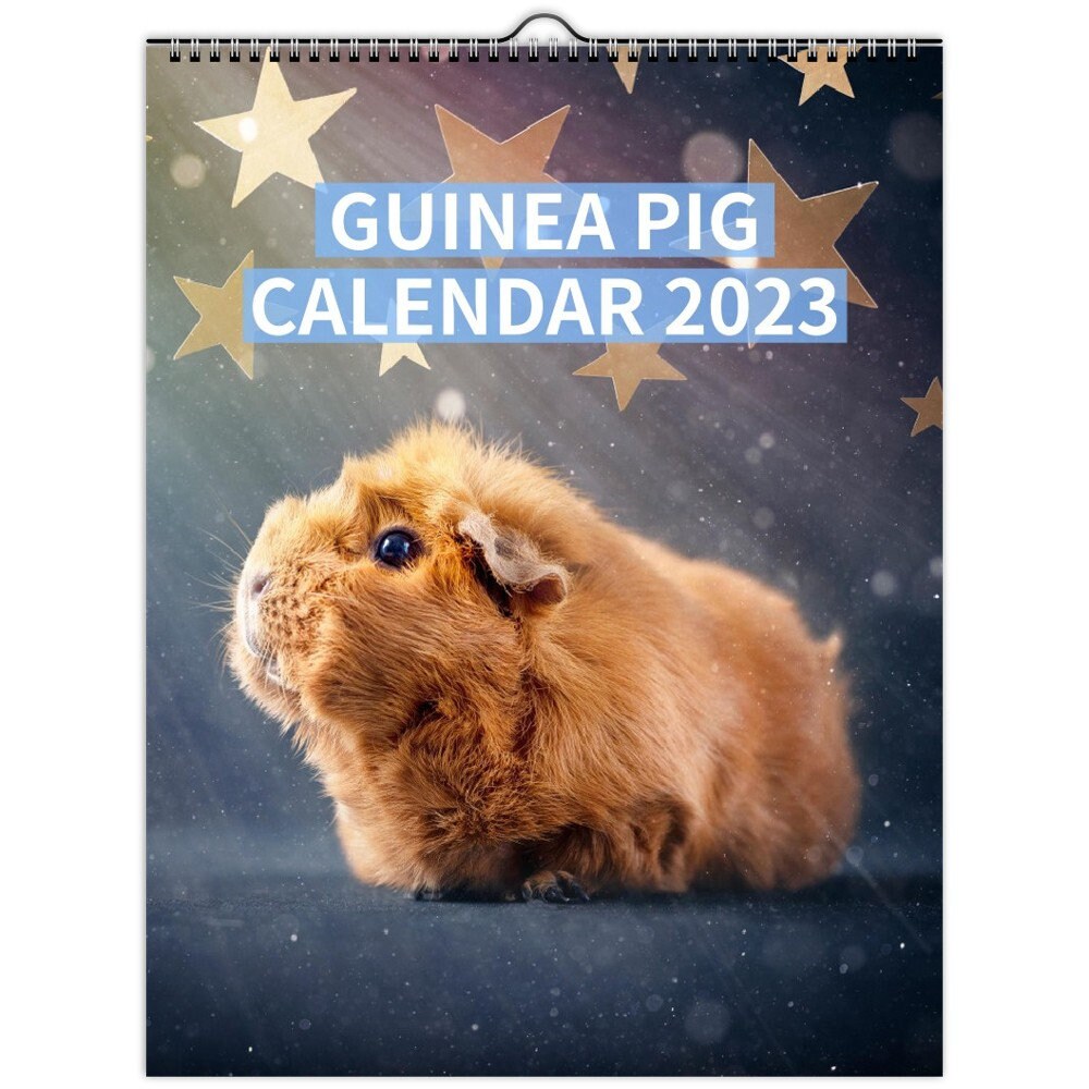 Guinea Pig Wall Calendar 2023 US & CA - Etsy Israel