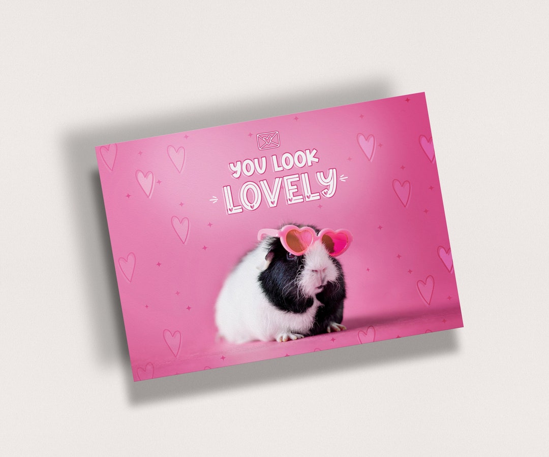 Guinea Pig Valentine's Day Cards Pack of 10 Postcards With Envelopes - Etsy
