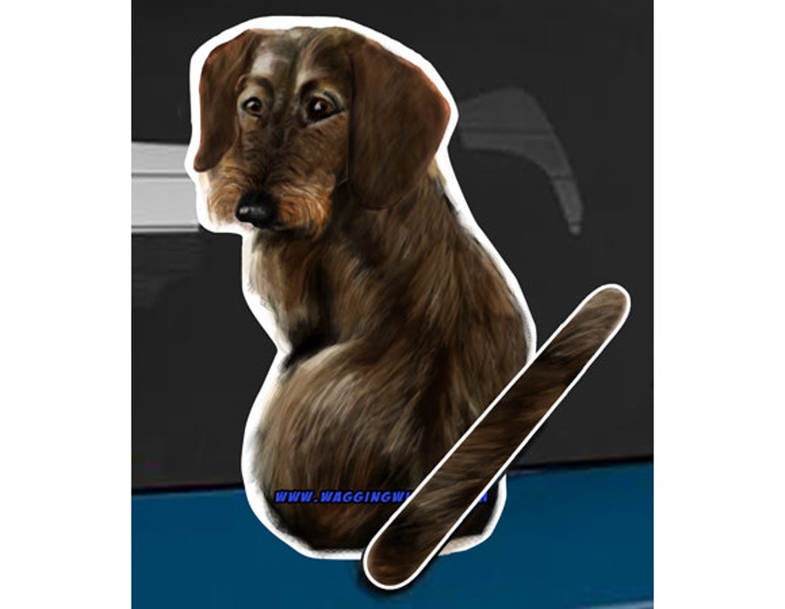 Wire Hair Dachshund Dog Rear Window Wiper Wagging Tail Sticker - Etsy