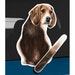 Beagle Dog Rear Window Wiper Wagging Tail Sticker - Etsy