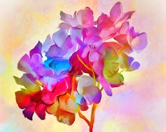 Imaginary Hydrangea