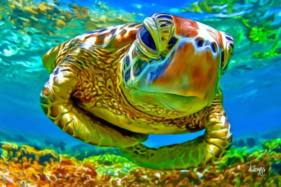 Sea Turtle 2020