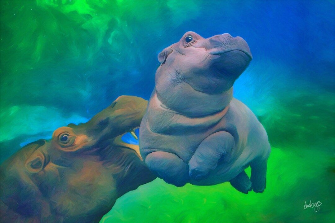 シンシナティ動物園の赤ちゃんカバ、フィオナ - Etsy 日本