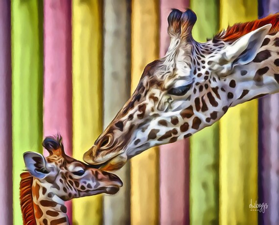 Giraffes