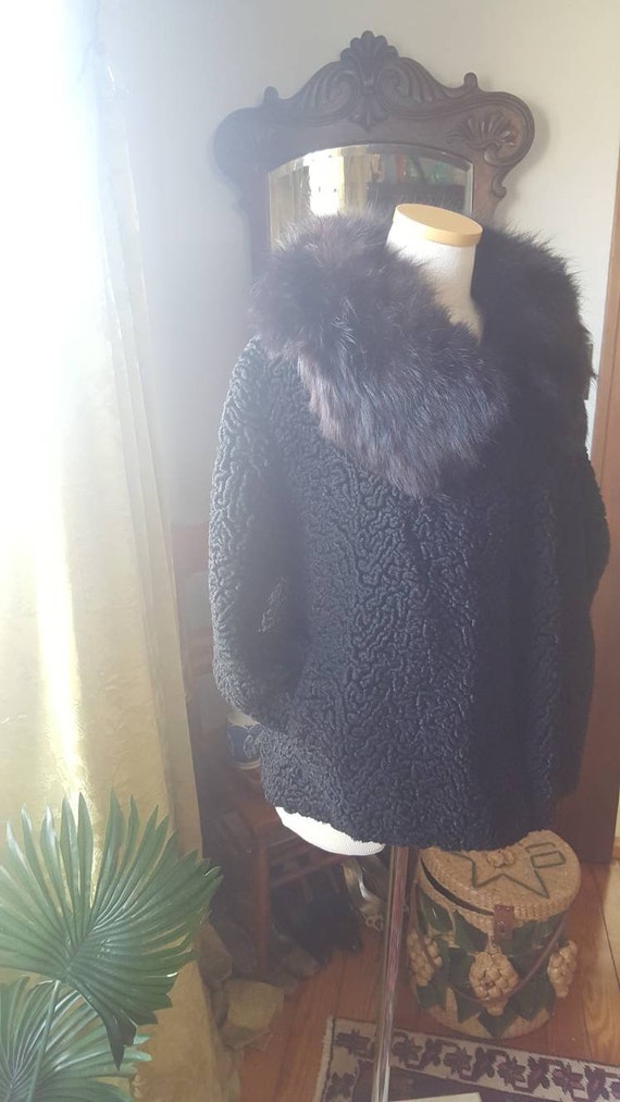 50s Volup Size Persian Lambs Wool Black Fox Fur C… - image 3