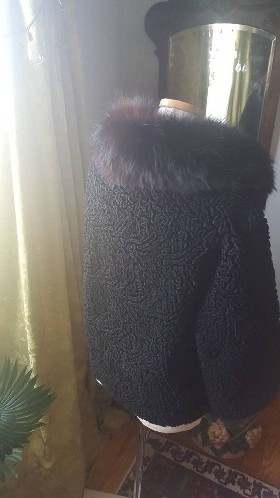 50s Volup Size Persian Lambs Wool Black Fox Fur C… - image 4