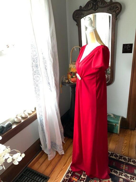 70s Red Maxi Dress, Autumnal Red Formal Dress, Vi… - image 2