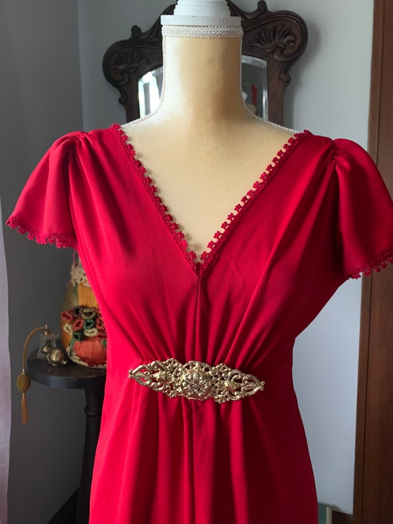 70s Red Maxi Dress, Autumnal Red Formal Dress, Vi… - image 7