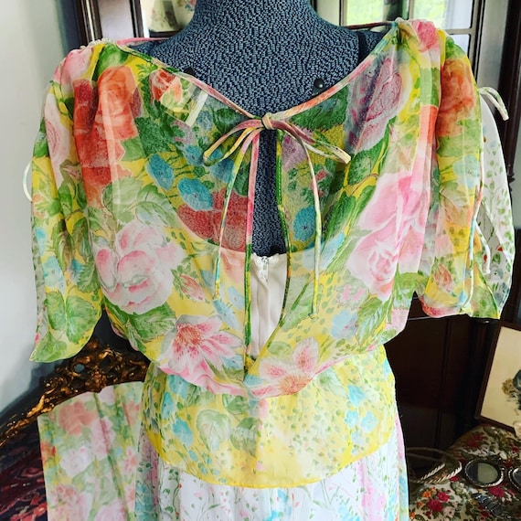 70s Boho Floral Chiffon Dress, Vintage Floral Max… - image 5