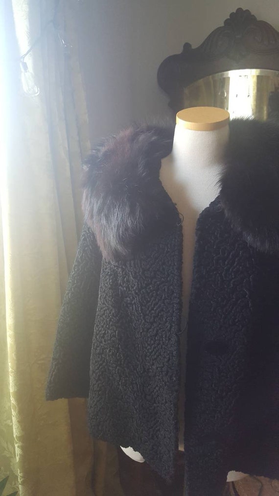 50s Volup Size Persian Lambs Wool Black Fox Fur C… - image 2