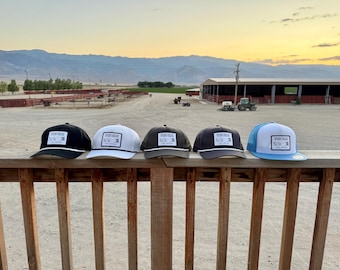 May include: Five baseball caps in a row, each with a different color scheme: black, white, olive green, dark gray, and light blue. Each cap has a white patch with text and a black or white brim. The caps are on a wooden railing.