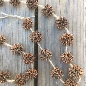 May include: A garland made of brown, dried seed pods strung together with twine. The garland is hanging on a wooden surface.