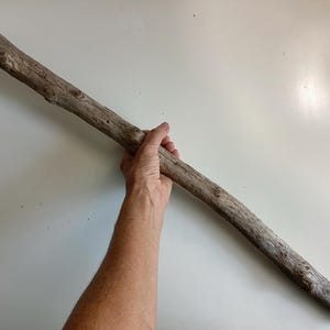 May include: A long, weathered piece of driftwood with a light brown, textured surface. The wood displays natural knots, organic curves, and a rough, sun-bleached appearance along its entire length, showcasing a raw and untreated aesthetic.