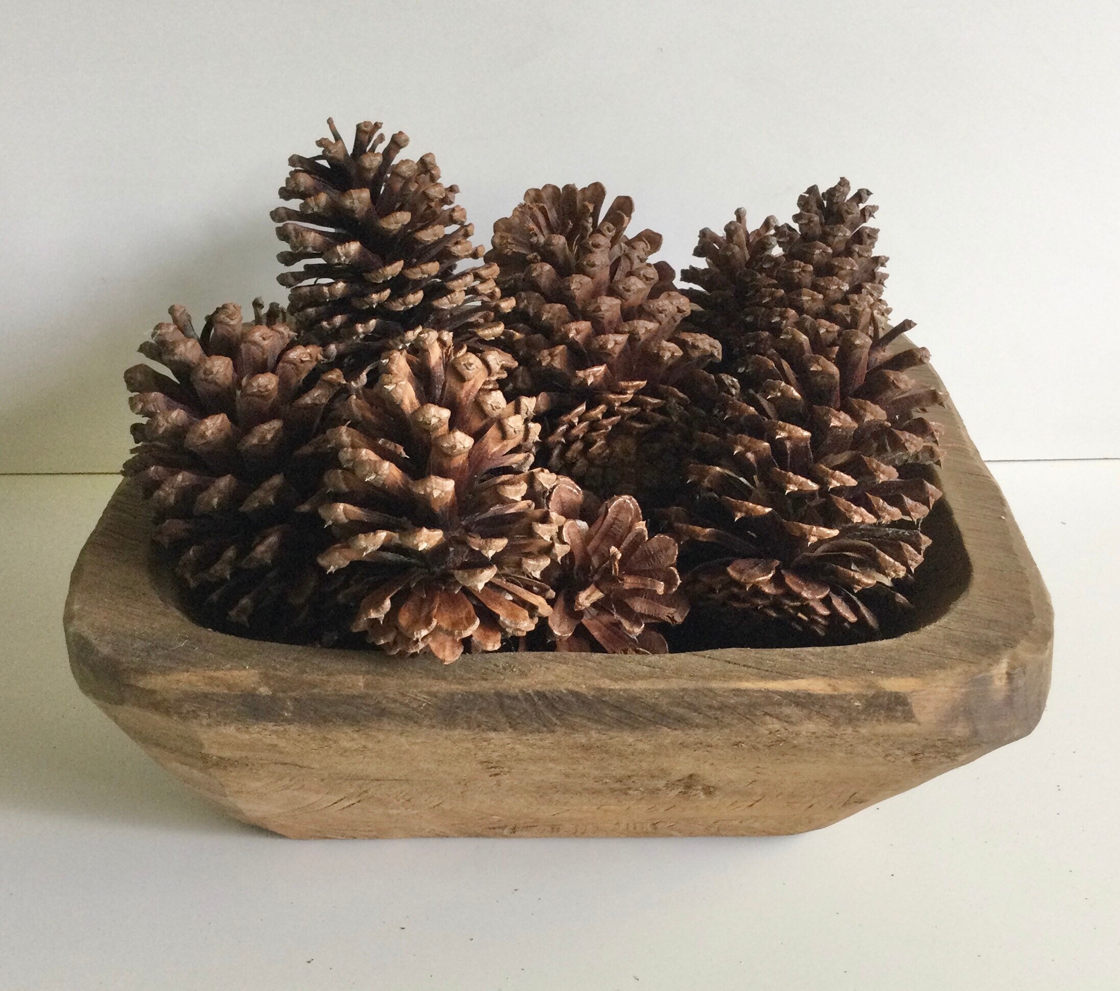 25 Pinecones - 3-7 Skinny Pine Cones - Supplies - Decor - Long Pinecones