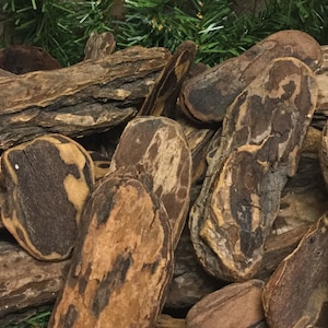 May include: Close-up of various pieces of natural wood bark, showcasing a range of shapes and sizes. The bark pieces display a mix of brown and tan hues, with intricate patterns and textures. Some green foliage is visible in the background.