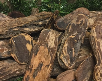 Redwood Driftwood from Northern California : 50 Coastal Redwood Driftwood Pieces for Natural Coffee Table Centerpiece or Craft Supplies
