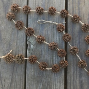 May include: A brown, natural garland made of dried seed pods strung together with twine. The garland is approximately 3 feet long and is perfect for adding a rustic touch to your home decor.