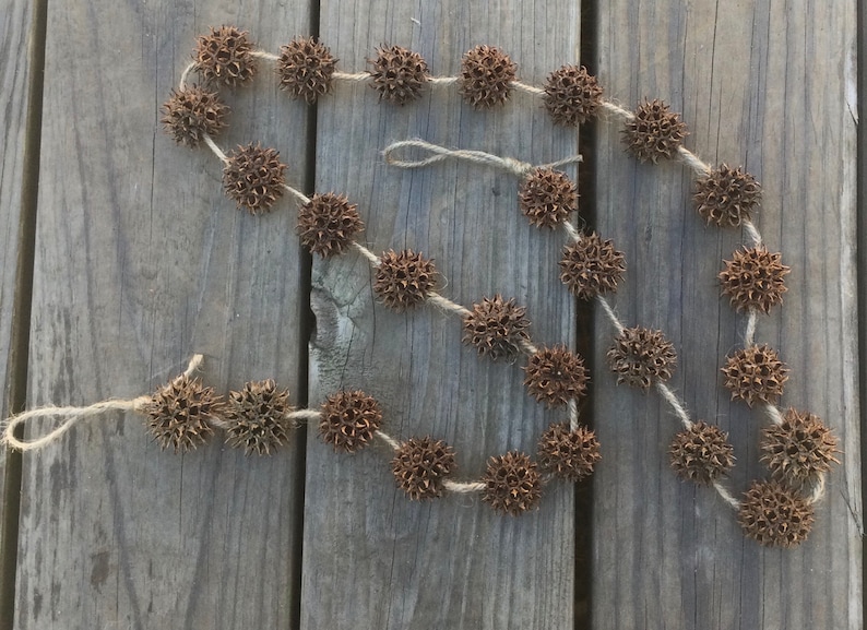 May include: A brown, natural garland made of dried seed pods strung together with twine. The garland is approximately 3 feet long and is perfect for adding a rustic touch to your home decor.