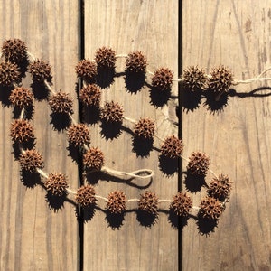 May include: A garland of brown, dried seed pods strung together with twine. The garland is laid out in a curved shape on a wooden surface.