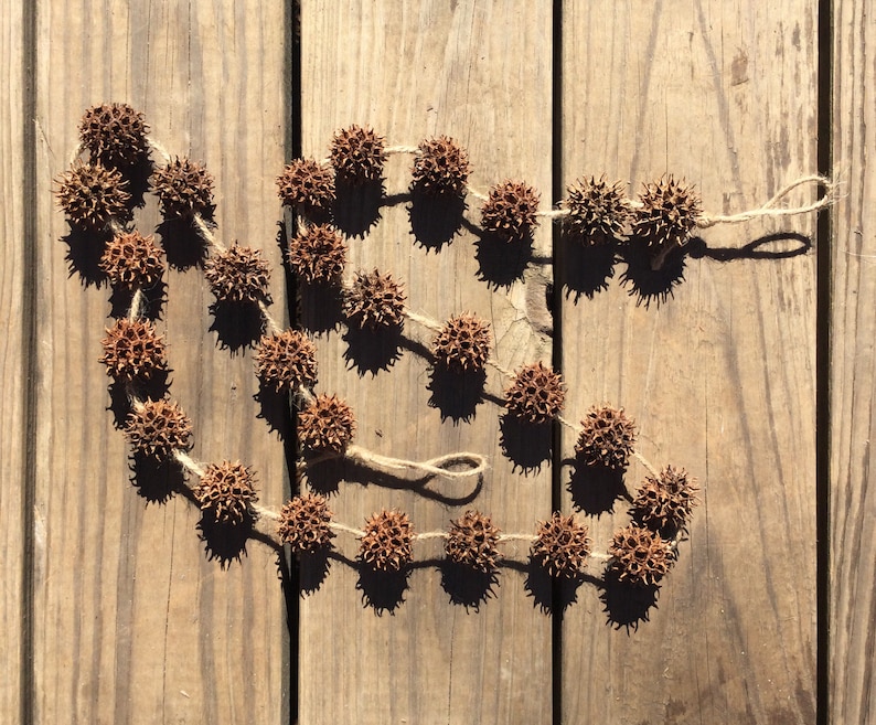 May include: A garland of brown, dried seed pods strung together with twine. The garland is laid out in a curved shape on a wooden surface.