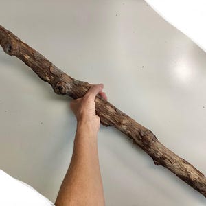 May include: A long, cylindrical piece of natural brown driftwood with a rough, weathered texture. The wood features several prominent knots and irregular ridges along its length, showcasing a raw, organic appearance with varied brown tones.