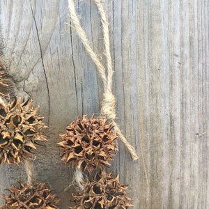 May include: A string of dried brown spiky seed pods, also known as burrs, are strung together with twine on a light brown wooden background.