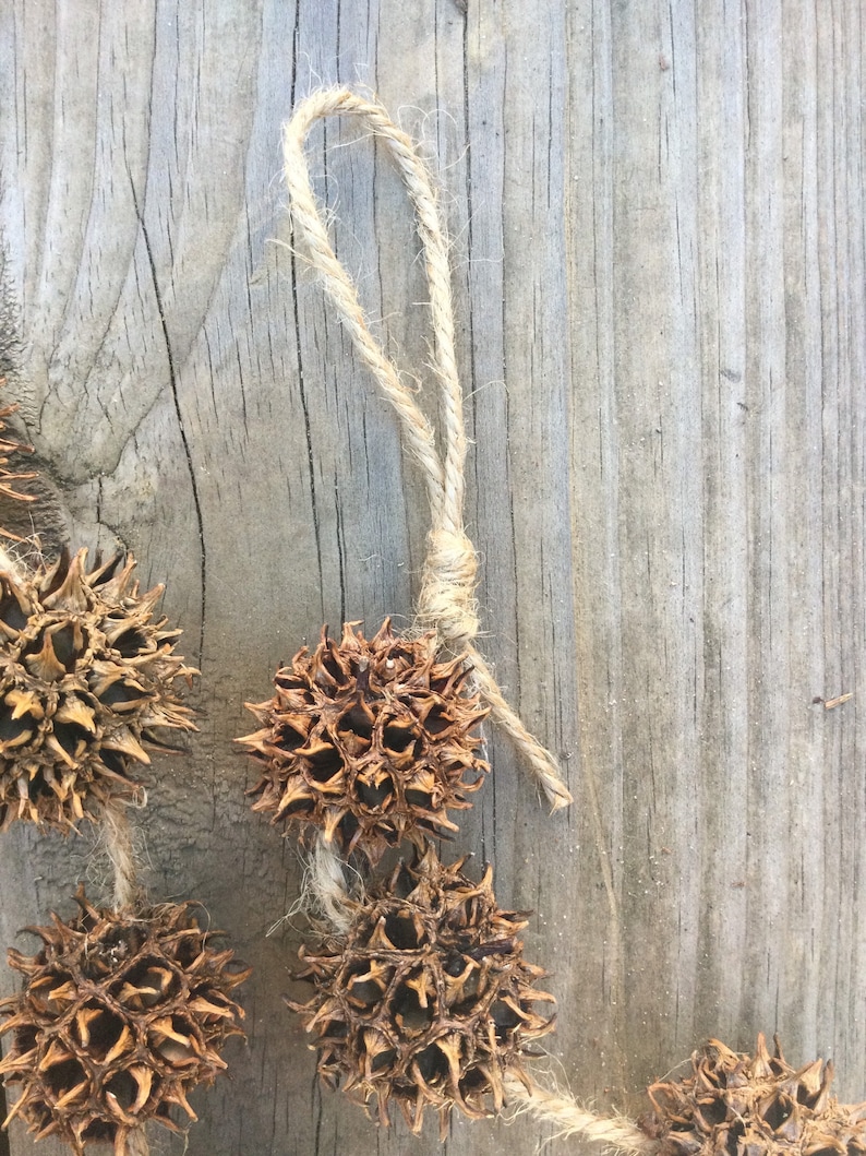 May include: A string of dried brown spiky seed pods, also known as burrs, are strung together with twine on a light brown wooden background.