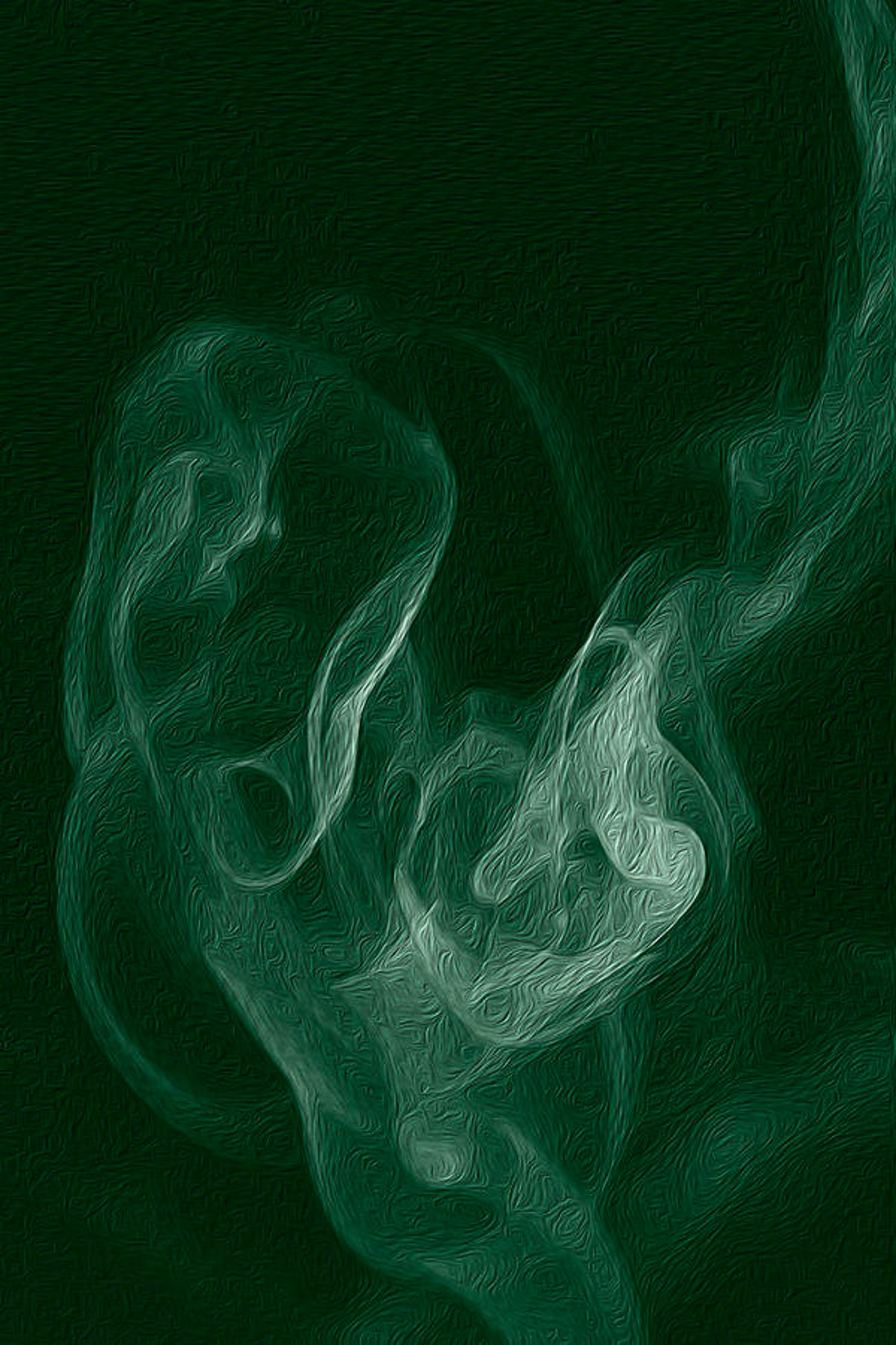 Slytherin Aesthetic Photo Collage Kit 40 PC Green Academia | Etsy