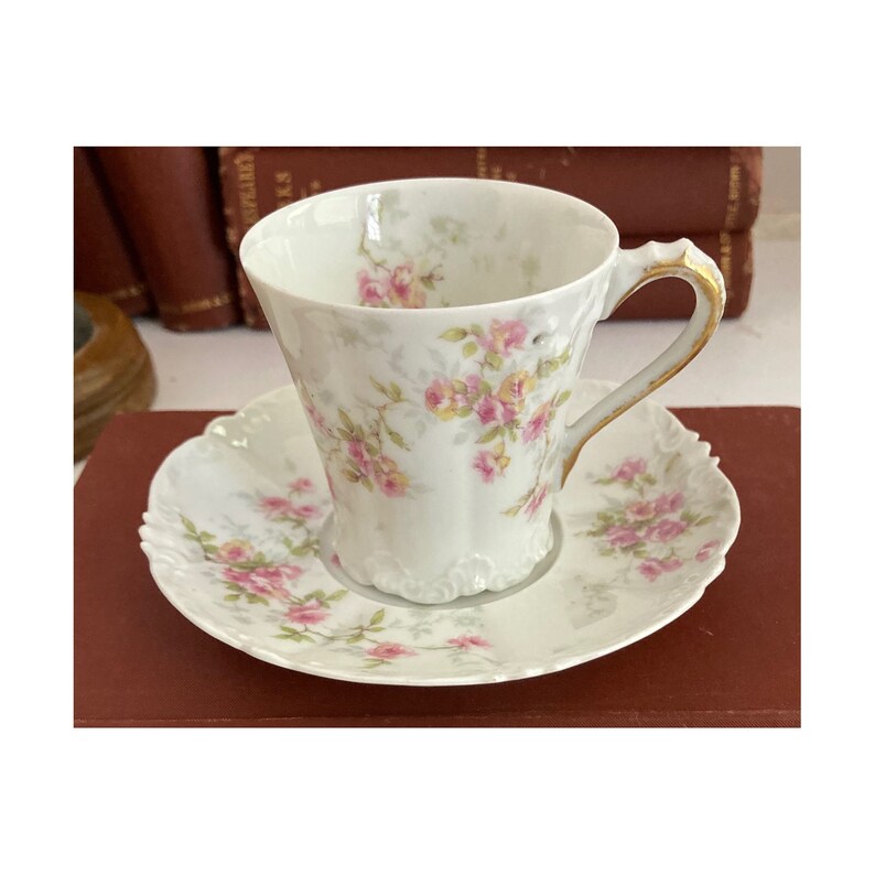 Theodore Haviland Limoges France 2.5 Bone China Teacup/tea Cup & Saucer