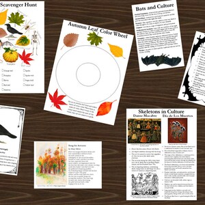 Puede incluir: Un conjunto de hojas de trabajo educativas imprimibles para niños sobre el otoño y Halloween. Las hojas de trabajo presentan imágenes de murciélagos, esqueletos, hojas y cuervos. El texto incluye títulos como "Búsqueda del tesoro de otoño", "Rueda de colores de las hojas de otoño", "Los murciélagos y la cultura", "Datos sobre los murciélagos", "Los esqueletos en la cultura" y "La profecía del cuervo".