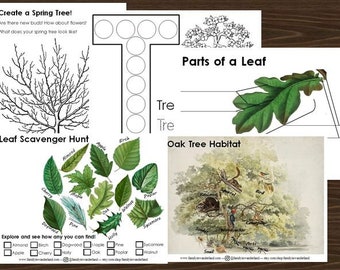 Spring Tree Nature Study - Exploring Nature - Digital Download