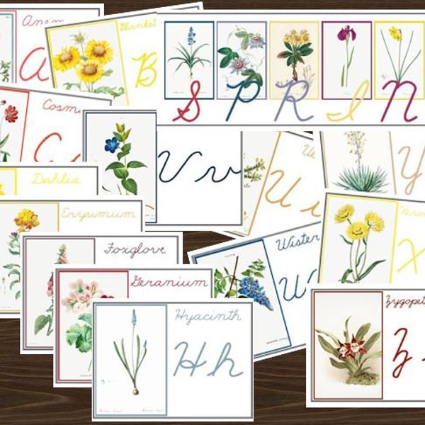 Vintage Flower Printable Cursive Alphabet Flash Cards - Nature Study