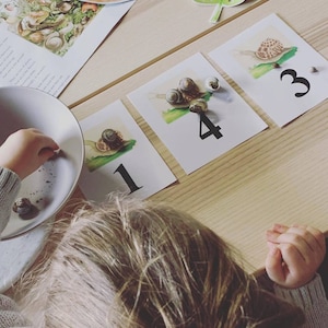 Escargots Numéro Cartes Imprimables - Numéros 1-20 - Téléchargement numérique - Étude sur la nature et les mathématiques