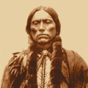 May include: Sepia-toned portrait of a Native American man. He has long, dark hair and is wearing a decorated garment with feathers and beadwork. The image has a vintage, artistic quality.