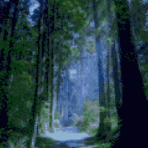 Puede incluir: Una pintura digital de un sendero en el bosque con árboles altos a cada lado. El sendero está bordeado de hierba verde y los árboles son de un verde oscuro. La luz proviene de la parte superior de la imagen, creando un suave resplandor en el sendero.