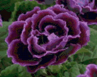 Purple Gloxinia Cross Stitch pattern PDF - EASY chart with one color per sheet And traditional chart! Two charts in one!