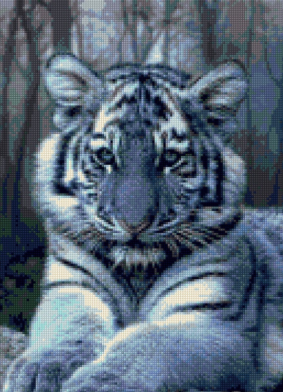 Tiger Color Chart