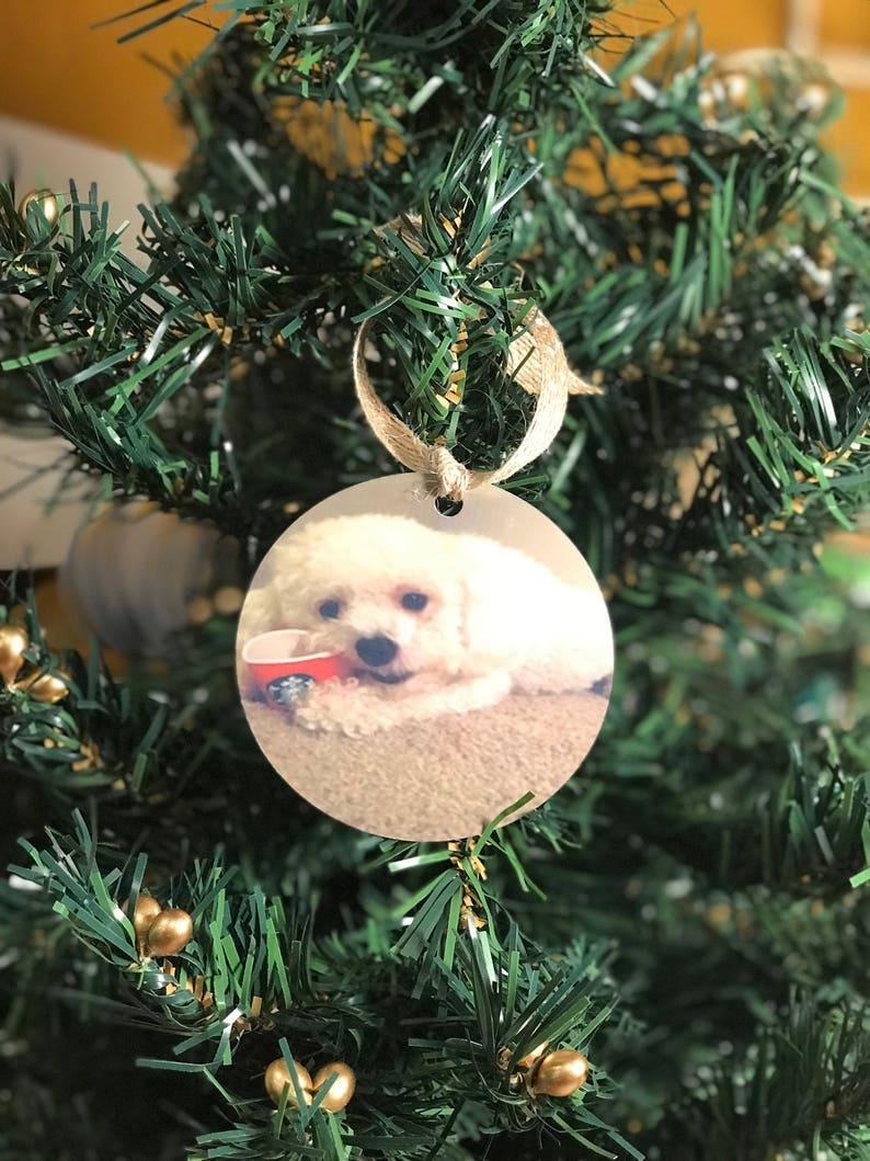 Pet dog cat Christmas personalized photo ornament with name and year Custom animal Christmas ornament w picture year personalized ornament