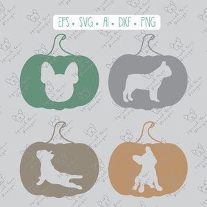 Französische Bulldogge, Kürbisse, Frenchie, Herbst, Herbst, Kunsthandwerk, Clipart, Silhouette, Cricut, svg, eps, ai, dxf, png-Datei, digitaler INSTANT DOWNLOAD