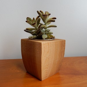 Holz sukkulenten Halter, Rustikaler Pflanzenhalter, Teelichthalter, Reclaimed Holz Überwurf
