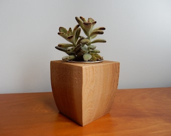 Support succulent en bois, support rustique de plante, support de lampe à thé, planteur en bois récupéré